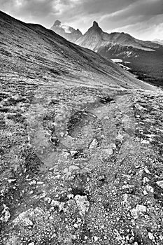 Parker Ridge Hiking Trail Banff National Park