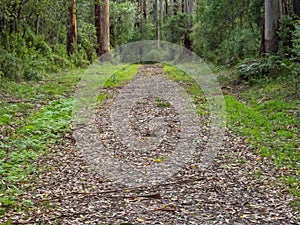 Parker Road - Shelly Beach