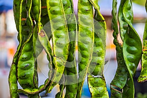 Parkia speciosa or Stink beans dangled up for display at the front of the stall in marketplace. The smelly bean or twisted cluster