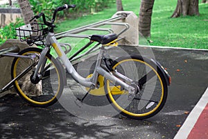 Parking bicycle and bicycle in the park