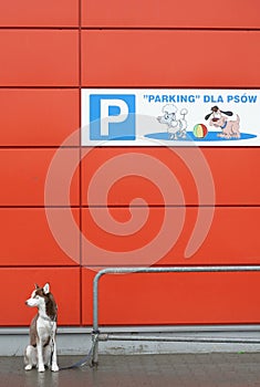 Parcheggio 