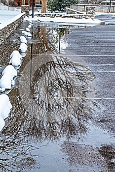 Parking lot at the arboretum - winter tree reflected upside down in snow melt puddle in parking lot by Tulsa arboretum on snowy