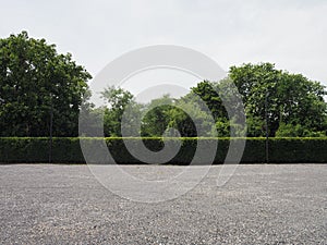 Parking lot sprinkled with gravel bush tree nature background