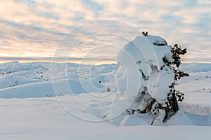 Parking lot in winter, snowdrift from the snow plough, at Jarnsverk Parking in Brokke. Setesdal, Norway