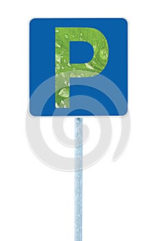 Parking place road sign on post pole, traffic roadsign, blue, P signage abstract green leaf closeup with raindrops, isolated