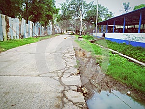 Parking and side lane lonly trees