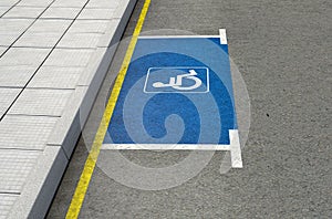 Parking Space Paraplegic