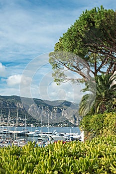 Parking of yachts and boats in the Cote d`Azur resort in the Provence Saint-Jean-Cap-Ferrat region. French Riviera.