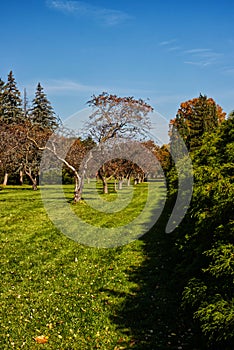 Parkland of the botanical gardens maintained well , Niagara Falls, ON, Canada