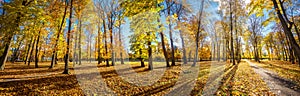 Parkland in Kadriorg Park at golden autumn. Tallinn, Estonia