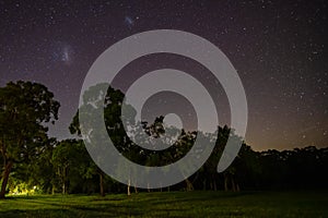 Parklands and woods under the Night Sky with Magellanic Clouds
