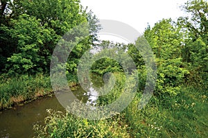 Parks in the great outdoors