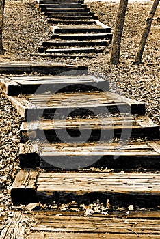 Parks in the great outdoors