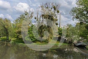 Parks landscape with stele and trees pond