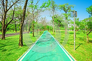 Parks on sunny days With a blue sky background