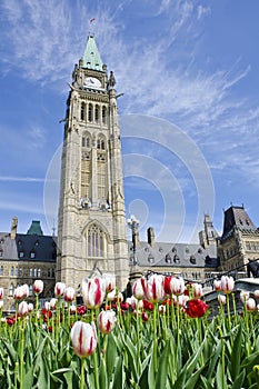 Parliament Building Ottawa and Tulips #1 photo
