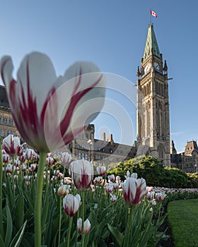 Parliament Hill of Ottawa, Canada