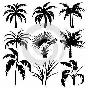 Parlor Palm (Chamaedorea Elegans, Neanthe Bella Palm) Pot Plant Icon Set, Parlor Palm Plant Icon