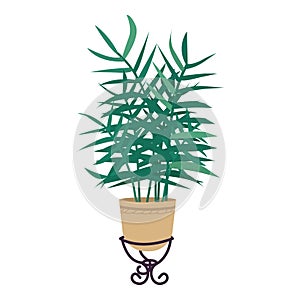 Parlor palm in pot semi flat color vector object