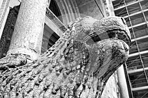 Parma Cathedral, column-bearing lion detail. Black and white image