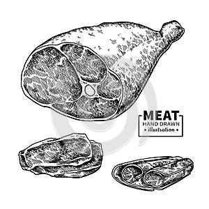 Parma ham vector drawing. Hand drawn hamon meat illustration. Italian prosciutto photo