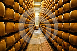 Parmigiano Reggiano cheese factory in Italy - aging wheels on shelves photo