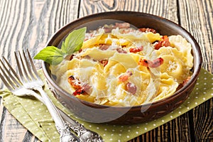Parmesan Girasoli dumplings with Soft Garlic Sauce, basil and bacon on plate. Horizontal photo