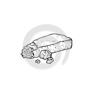 Parmesan Parmegiano cheese. Hand drawn sketch style drawing of traditional Italian hard cheese. Vector illustration