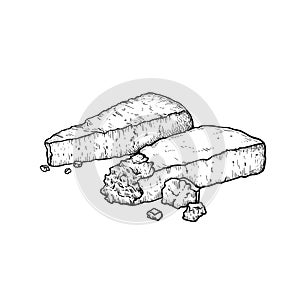 Parmesan Parmegiano cheese. Hand drawn sketch style drawing of traditional Italian hard cheese. Vector illustration