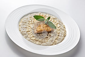 Parmesan risotto dish with trout fillet isolated on white background
