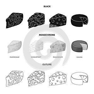 Parmesan, roquefort, maasdam, gauda.Different types of cheese set collection icons in black,monochrome,outline style