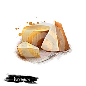 Parmigiano cheese with knife digital art illustration isolated on white background. Fresh dairy product, healthy organic photo