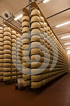 Parmigiano Reggiano photo