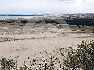 Parnidis dune, Lithuania photo