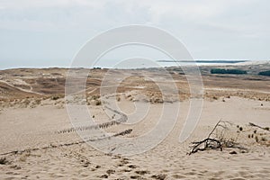 Parnidis Dune in Nida, Lituania photo