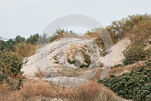 Parnidis Dune in Nida, Lituania photo