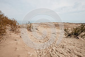 Parnidis Dune in Nida, Lituania photo