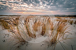 Parnidis sand dune in sunset. Curonian spit, Nida city, Lithuania photo