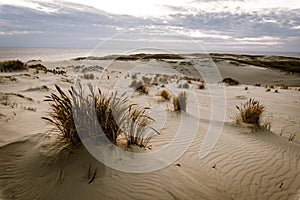 Parnidis sand dune in sunset. Curonian spit, Nida city, Lithuania photo