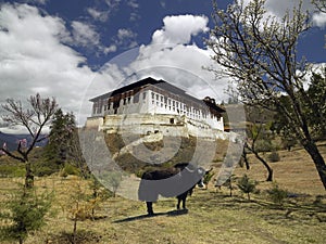 Paro Dzong - Kingdom of Bhutan photo