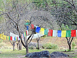 Colorful flags on the way to Paro Taktsang of Bhutan photo