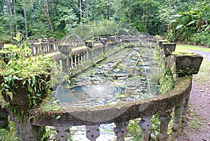 Paronella Park Fish Pond