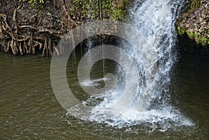 Paronella Park, Queensland