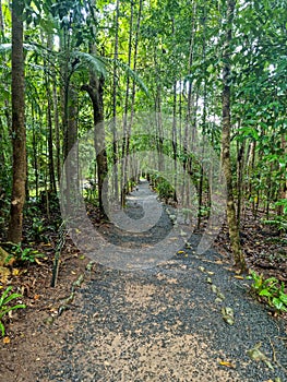 Paronella Park In Queensland Australia