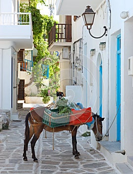 Paros island streets