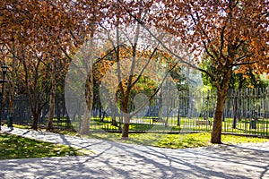 Parque Araucano photo