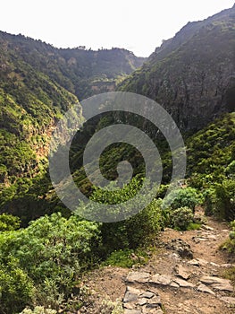 Parque Barranco de Ruiz. Hiking on Tenerife.