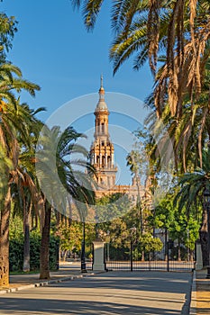 Parque de Maria Luisa with a view to the tower, Andalusia. vertical photo