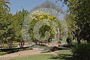 Parque de Maria Luisa, lush green city park in Seville, Spain photo
