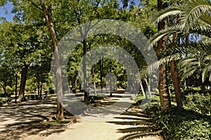 Parque de Maria Luisa, park in Seville, Spain